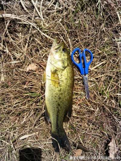 �֥�å��Х�