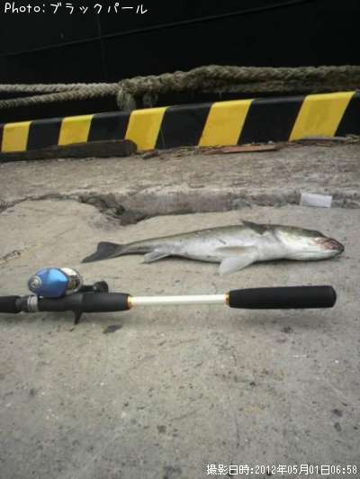 �����Х�