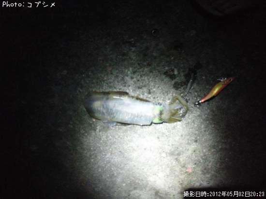 �����ꥤ��