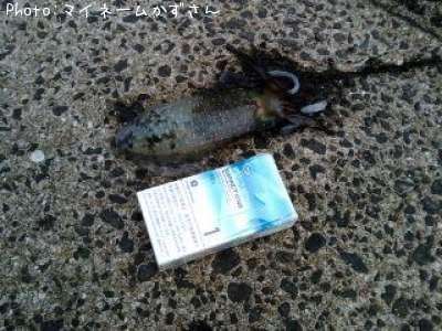 �ߥ�����