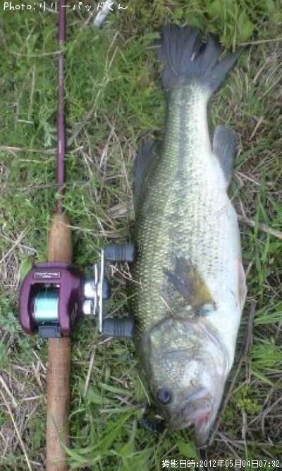 �£̣��ãˡ����£��ӣ�