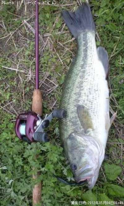 �£̣��ãˡ����£��ӣ�