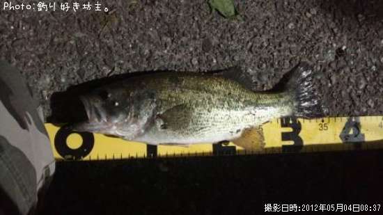 �֥�å��Х�