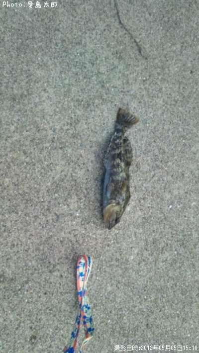 �����ʥ�