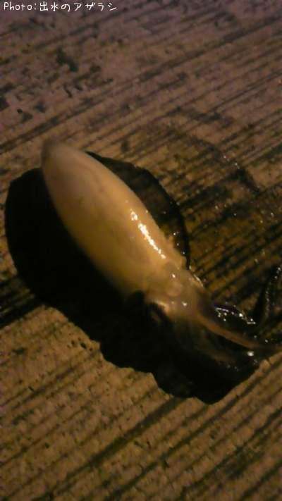 �ߥ�����