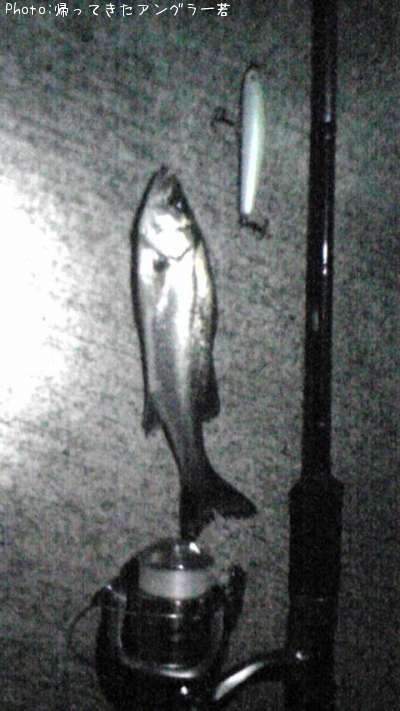 �����Х�