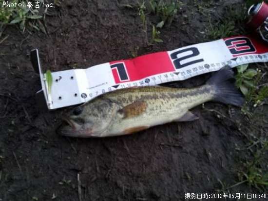 �֥�å��Х�