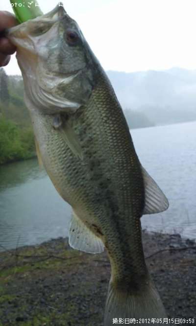 �֥�å��Х�