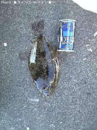 �ޥ����쥤