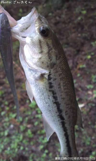 �֥�å��Х�