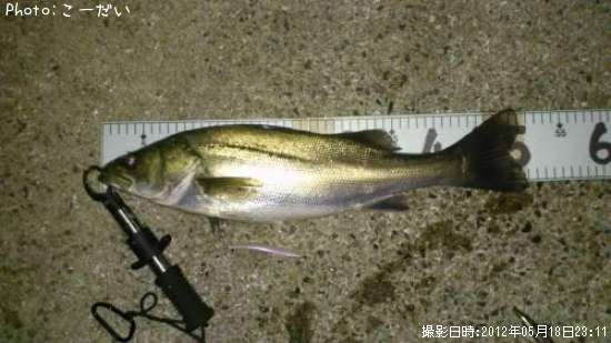 �����Х�