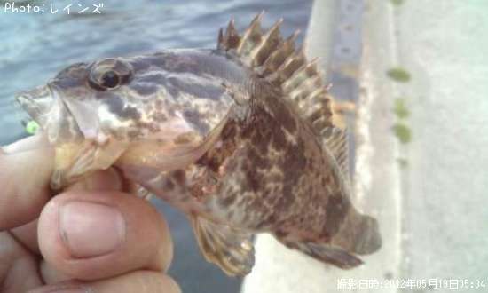 �����Υ���Х�