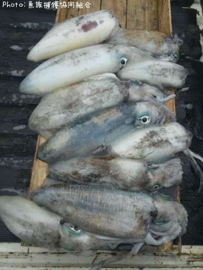 �����ꥤ��