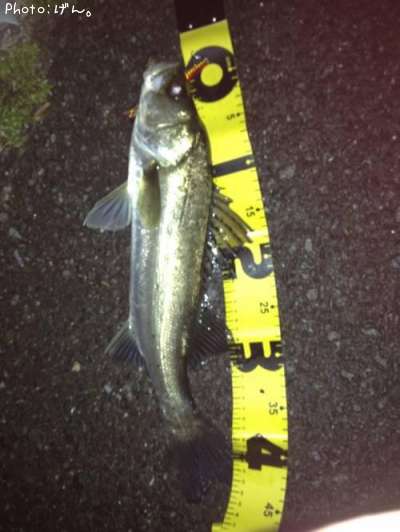 �����Х�