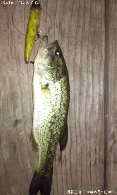 �֥�å��Х�