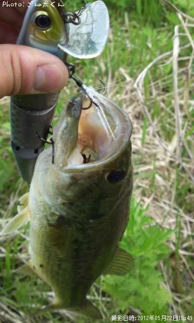 �֥�å��Х�