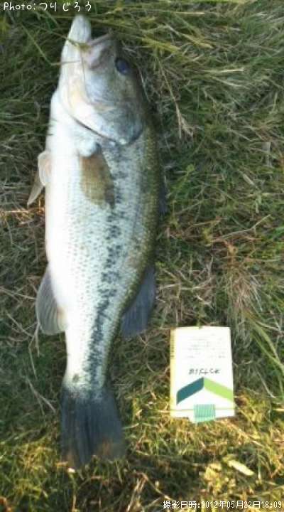 �֥�å��Х�