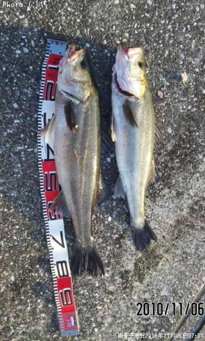 �����Х�