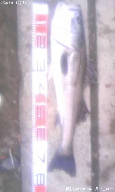 �����Х�