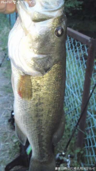 �֥�å��Х�