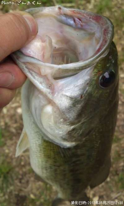 �֥�å��Х�