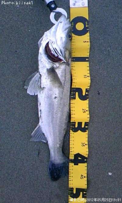 �����Х�