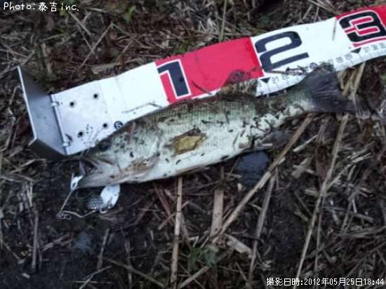 �֥�å��Х�