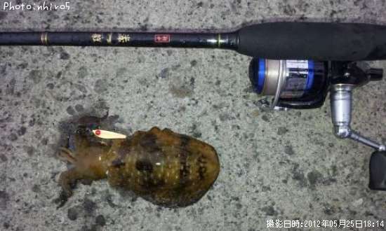 �����ꥤ��