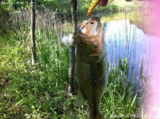 �֥�å��Х�