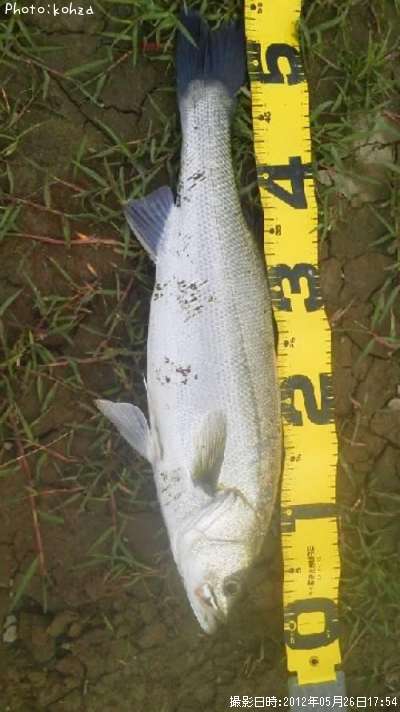 �����Х�