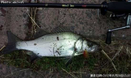 �ҥ饹����