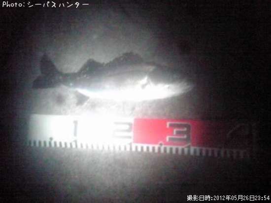 �����Х�