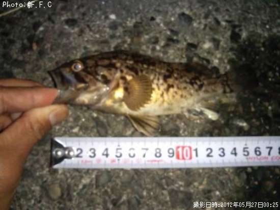 �����Υ���Х�