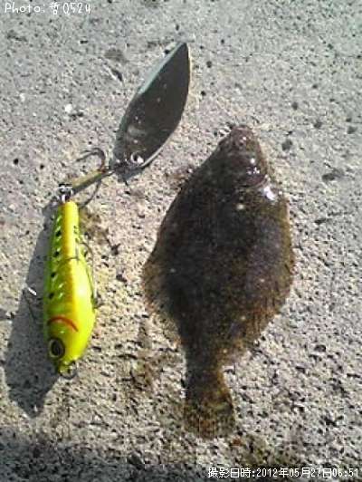 �ޥ��������쥤