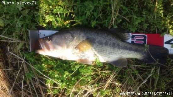 �֥�å��Х�