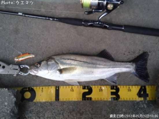 �����Х�