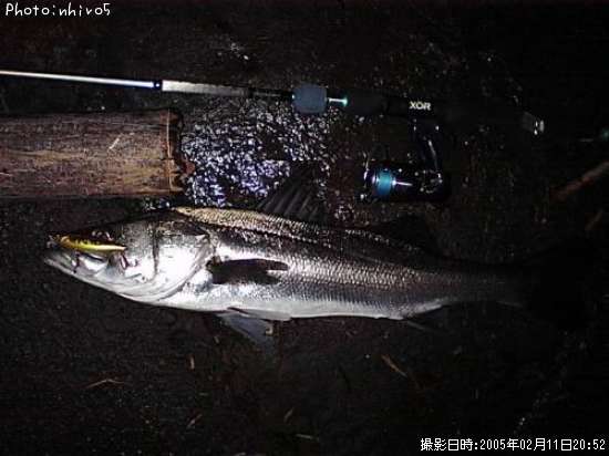 �����Х�