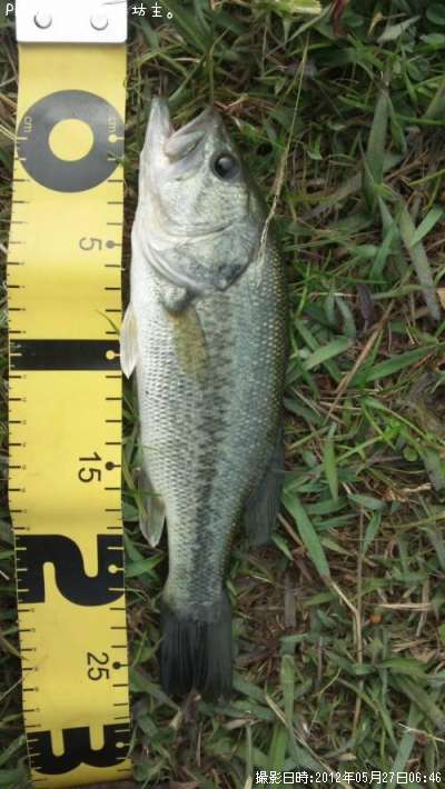 �֥�å��Х�