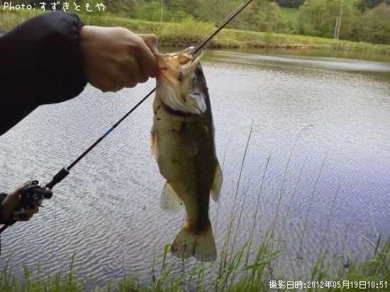 �֥�å��Х�