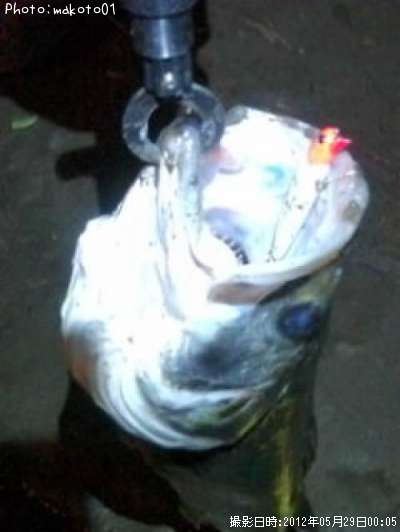 �����Х�