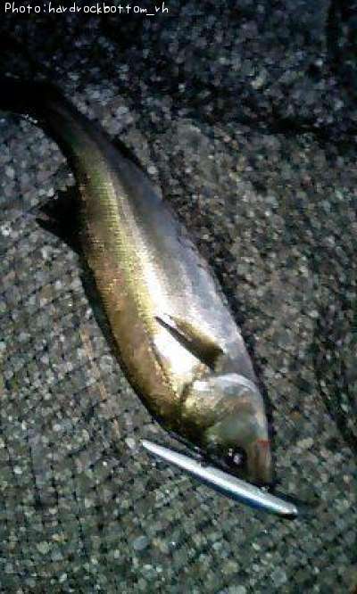 �����Х�