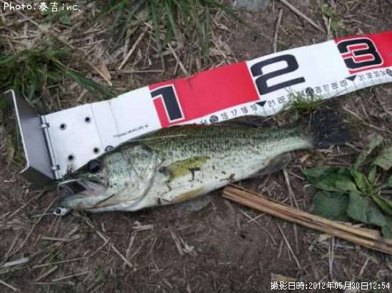 �֥�å��Х�