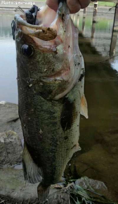 �֥�å��Х�