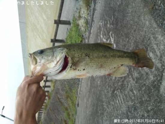 �֥�å��Х�