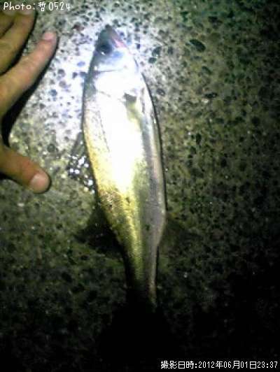 �����Х�