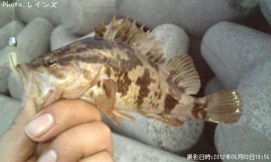 �����Υ�����Х�