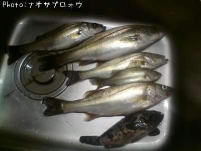 �����Х�������