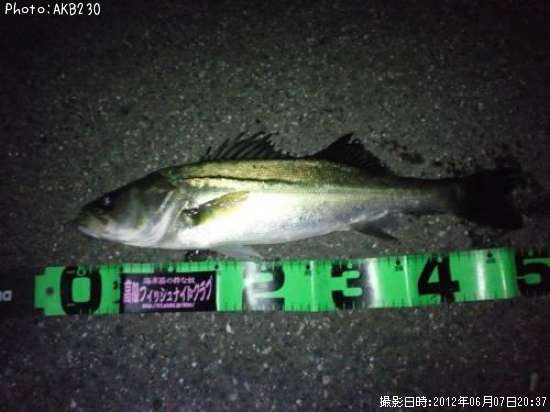 �����Х�