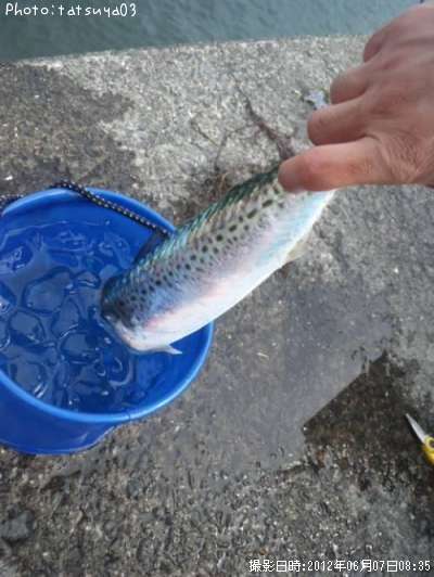 ���ޥ���