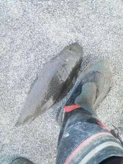 �����Υ�������ʿ�ܡ�